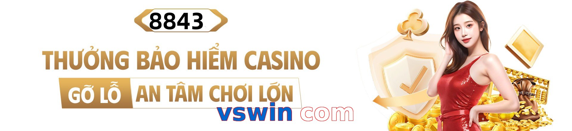 vswin com