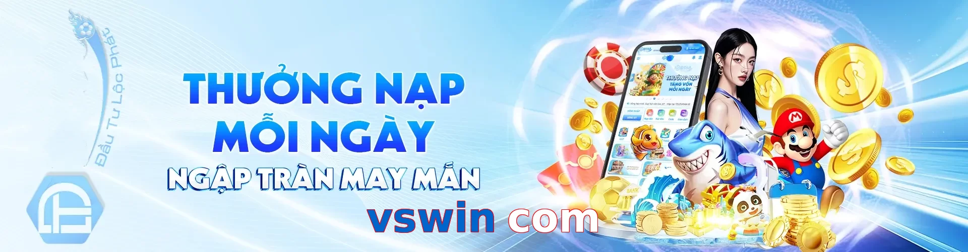 vswin com
