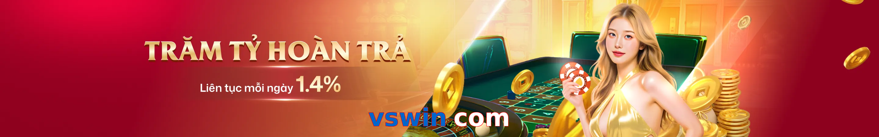 vswin com