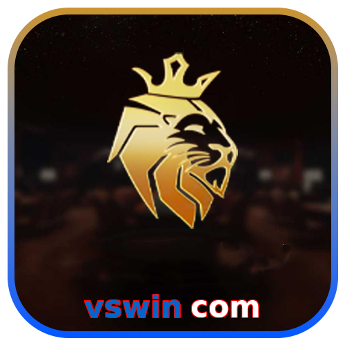 vswin com